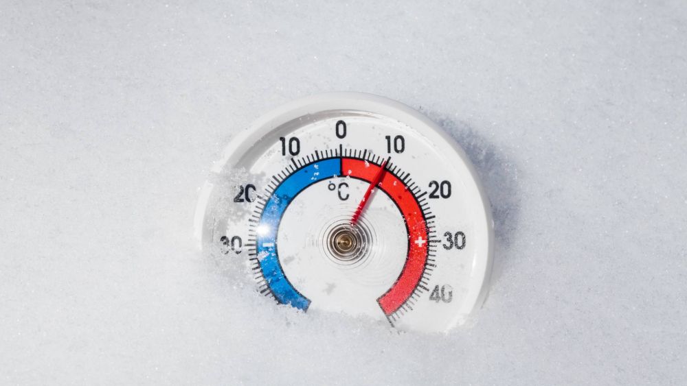 Zuverlässige Kühllogistik bei Spedition & Lagerhaus Duwensee 